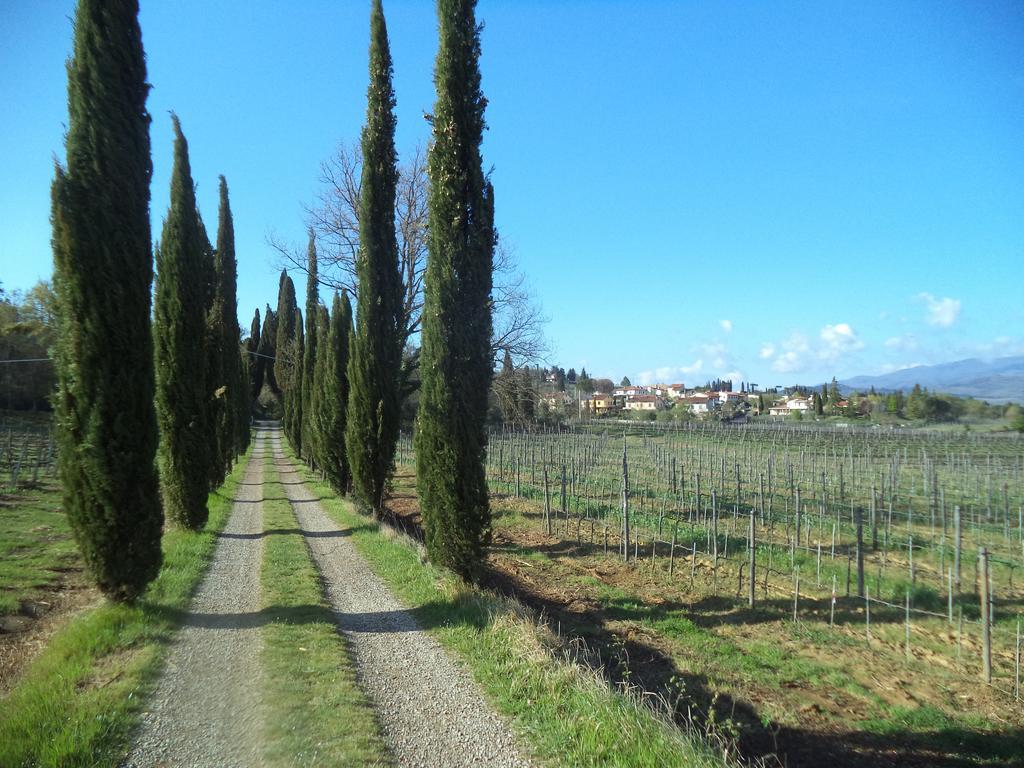 Agriturismo Albergotti Arezzo Ngoại thất bức ảnh